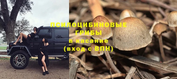 ПСИЛОЦИБИНОВЫЕ ГРИБЫ Абдулино
