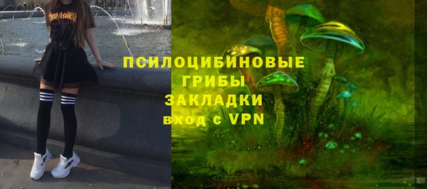 spice Алзамай