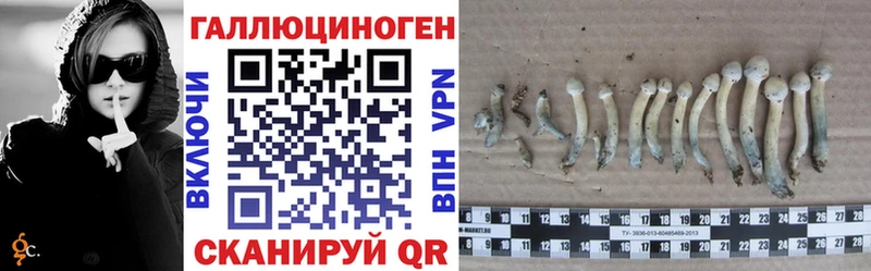 Псилоцибиновые грибы прущие грибы  как найти закладки  Новоуральск 